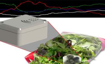 Real time environmental data collection from inside a food pack right across the distribution chain.