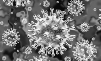 Mitigating the risk of Coronavirus to UK supply chains