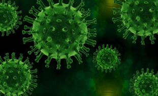 Adapting to the coronavirus challenge