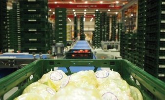 Automation helps Mercadona get fresh produce from field to store within 24 hours  