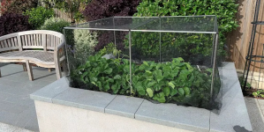 Ecommerce retailer Gardening Naturally boosts order fulfilment efficiency by 3,500% and triples revenue since using Forterro’s Orderwise