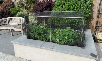 Ecommerce retailer Gardening Naturally boosts order fulfilment efficiency by 3,500% and triples revenue since using Forterro’s Orderwise